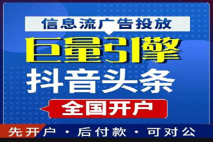 专业SEM服务公司案例分析报告